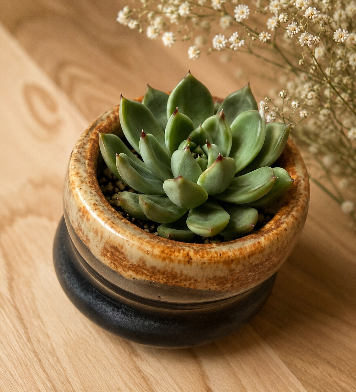 Tiny Round Vase